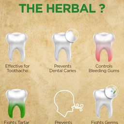 The Herbal Set Of 3 Botanical Toothpaste -100g Each image 4