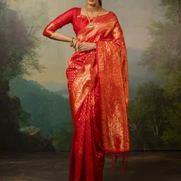 Sangria Woven Design Kanjeevaram Saree-image-46