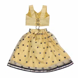 BAESD Girls Embroidered Mirror Work Ready to Wear Lehenga & Blouse With Dupatta image 4
