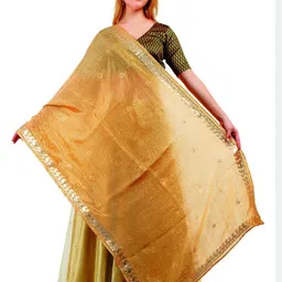 Way2Like Embroidered Dupatta-picture-26