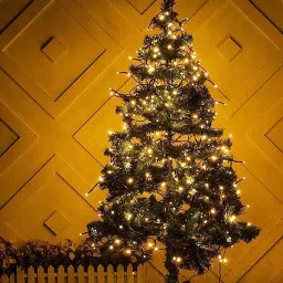 pesca 40 LEDs 11 m Yellow Steady String Rice Lights image 5