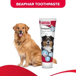 beaphar Toothpaste in Liver Flavor For dogs Pet Toothpaste image 2