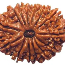 ORIGINAL NEPALI 21 MUKHI RUDRAKSHA Wood Pendant-image-1