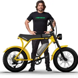 Ranger Electric Cycle with Removable Battery,Front & Rear Lights with Indicators 20 inches 7 Gear Lithium-ion (Li-ion) Electric Cycle-image-71