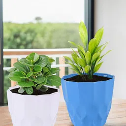 Kuber Industries White & Blue 2 Pieces Textured Planters-16