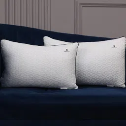 Sleepstore 2Pc White Polyester Cushion-0