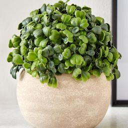 Home Centre Green Gloria Artificial Plant With Pot-image-82