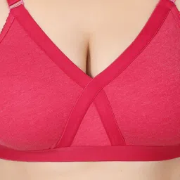 Designer Bugs Pack Of 2 Full Coverage Bra image 3