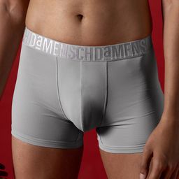 DAMENSCH Premium Short Underwear Trunk TK1044-SVRGRY-54