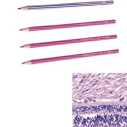 3Pencils of Violet and 3Lilac color with 1Pc Color Pencil/Ink Eraser-H,E Pencils Pencil-image-40