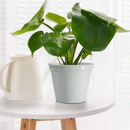 Decorcity 4Pcs White Metal Cylinder Planters-7