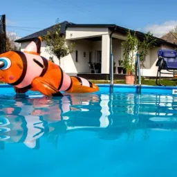 Ride On fish (IND*52) Swimming Pool Multicolor Inflatable Pool Accessory-4