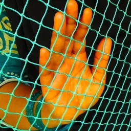 p enterprises UV Stabilized Nylon Pigeon Net_Bird Net_Monkey Net_6 X 10 Feet_Green Color Camping Net image 5