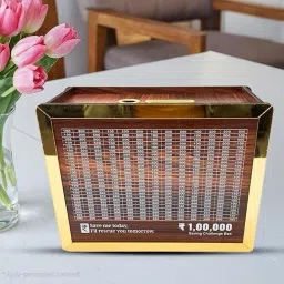 Wooden Money Saving Box Coin Bank-picture-44