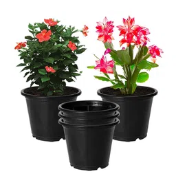 Kuber Industries Pack of 5 Black Solid Plastic Planters With Drainage Hole image 2