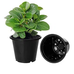 Kuber Industries Set Of 10 Black Solid Large Plastic Flower Planters With Drainage Hole image 2