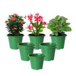 Kuber Industries Set Of 8 Green Solid Layered Plastic Flower Pot With Drainage Hole image 2