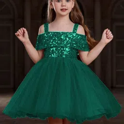 DP FABRICS Embellished Net Fit & Flare Dress-picture-39