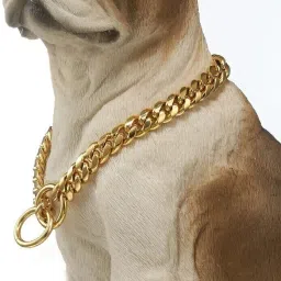 Dog Collar Chain for Small Size Dogs Dog Choke Chain Collar-image-4