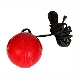 HackerX Pebble Sports Cricket Hanging Ball-image-9