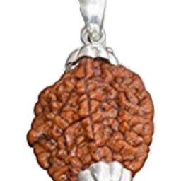 RAVIOUR LIFESTYLE Circular Pendants-image-89