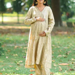 Aujjessa Women Regular Sequinned Kurta with Trousers-image-71