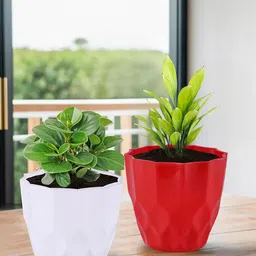 Kuber Industries 6-Pieces White & Red Textured Planters-29