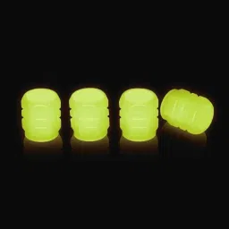 Plastic Tyre Valve Cap for Car-image-72