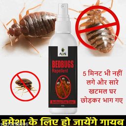 Exclusive Insect Repellent-image-91