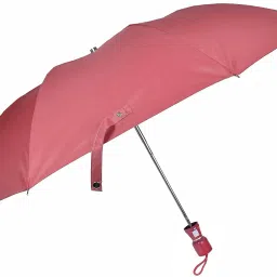 21 Inches 2 Fold Automatic Open type Polyester Umbrella-20