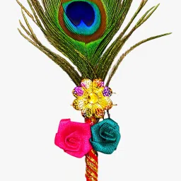 Pack of 1 Decorative Feathers-33