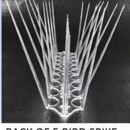 Bird Spike-27