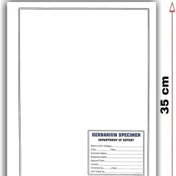 book birds Herbarium sheets with labels for plant specimens and projects (A3 size sheets) Drafting Kit image 2