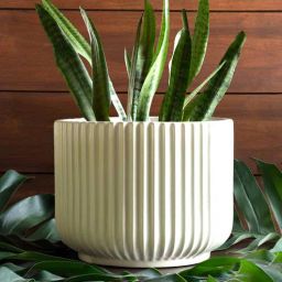 harla arts Pheonix (Large) Pink Porcelain Floor Planters-picture-27