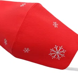 masq Anti-Pollution, Anti-Bacterial (BFE>99%) 4 Layer Embroidered, Designer, Fashionable & Protective Nylon Cloth Face Mask Combo for Women, Girls with Detachable Chain, Size Adjustable Ear Loops & Lanyard Snowflake_Combo_Large_03 Reusable, Washable Cloth Mask image 3