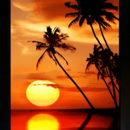 Sunrise Photo Frame | Vastu Sunrise Photo Digital Reprint 13.5 inch x 10 inch Painting-21
