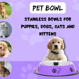 Stainless Steel Bone Printed Food Water Feeding Bowl for Dogs & Cat-450ML, Stainless Steel Pet Bowl-image-70