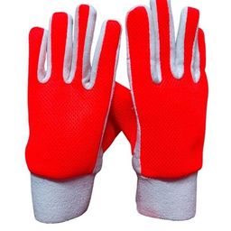 New Wicket-Keeper Gloves-image-53
