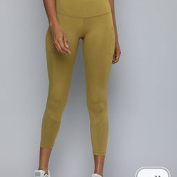 hrx by hrithik roshan Solid Women Dark Green Tights-picture-44