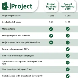 MICROSOFT Project Professional 2019 (1 User, Lifetime Validity) License Key image 2