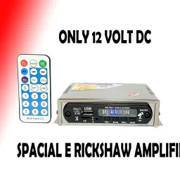 SPACIAL E RICKSHAW AMPLIFIER 12 V DC 20 W AV Power Amplifier-24