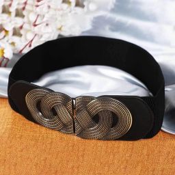 Women Casual, Evening, Formal, Party Black Metal Belt-image-25