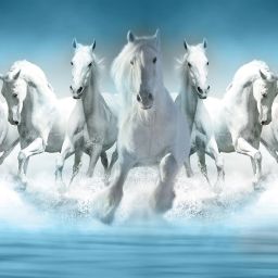 36 inch Seven Horses Poster For Livingroom Home office Wall Decor (Size 24x36 Inch) Self Adhesive Sticker-image-74