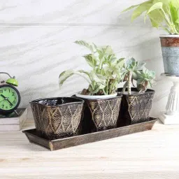 amaya decors Planter Ads 41-picture-4