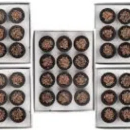 Google Dhoop Cup_2023:02 Guggul, Frankincense Dhoop-image-71