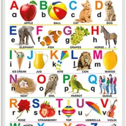 Alphabet Educational chart with Big font and Dust resistant Lamination-50