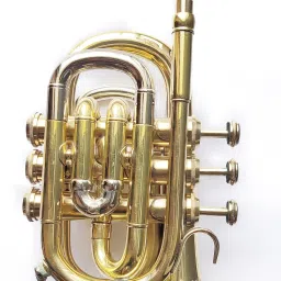 pocket trumpet trumpet pocket gold silver Pocket Trumpet-image-27