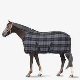 Horse Blanket-image-27