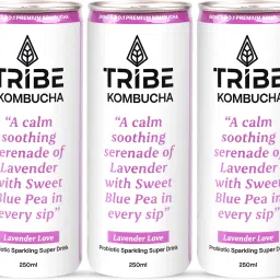 Kombucha|Weight Management-Detox-Antioxidant|Naturally Sparkling Probiotic Drink Lavender Love Drink-image-17