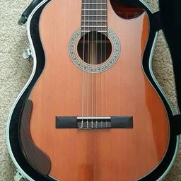 Exclusive Electric Guitars-image-19